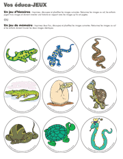 Ouvrir histoire et mémoire- Les reptiles