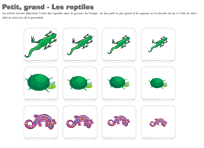 Ouvrir-petit grand- Les reptiles