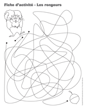 Ouvrir fiches d’activité – Les rongeurs