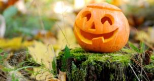 Activités éducation par la nature sur le thème de l’halloween