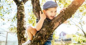 Exploiter les arbres