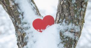 La chasse aux couleurs de l�amitié