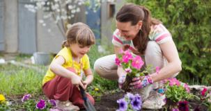 Le jardin comme outil pour encourager la communication