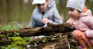 Léducation en nature dans le milieu de la petite enfance