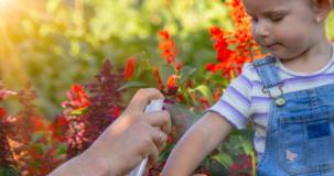 Mes indispensables d�éducatrice pour juillet