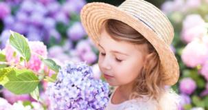 Mon intérêt : les fleurs