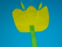 tulipe jaune-5