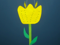 tulipe jaune-9