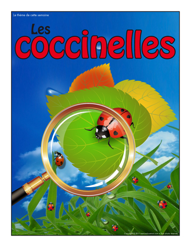 Affiche thématique